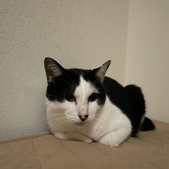 5b41ef3e 81ae 4476 a9f6 fad431b8693f 1663078487280