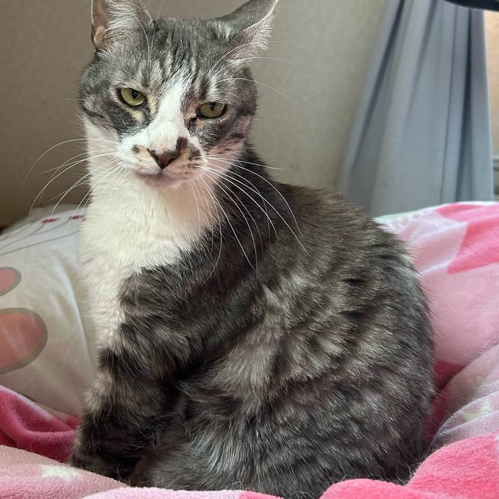 5b41facc 5fd8 4633 84a9 a0071fa8aa3f 1773799914813