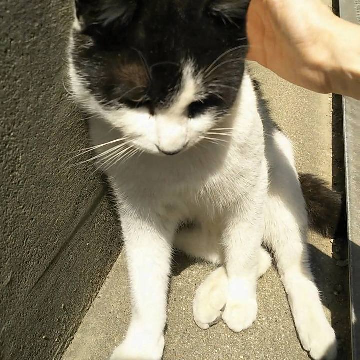 5b4205d8 dc5c 4780 bedd ea0f81dab999 1554609587471