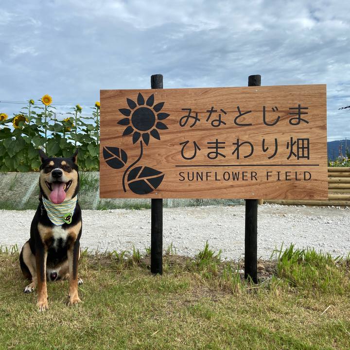 5b4224b4 ed59 4502 9c10 7698e655cc50 1628324475258