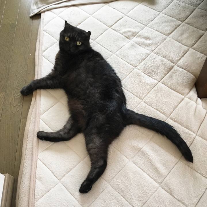 5b42410b b20e 43e7 98f7 5cd1c8f0079c 1528426085502