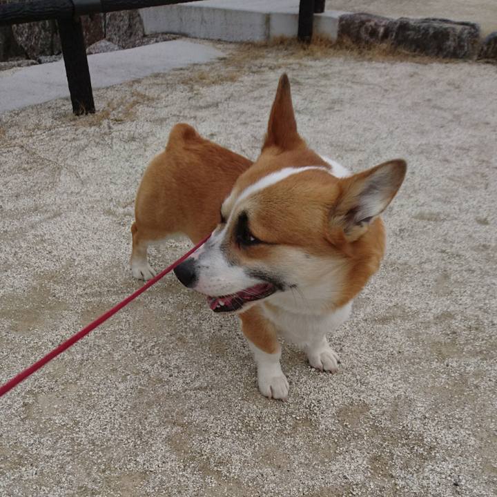 5b424826 02b7 43d9 a16e 9c602c8d687c 1614907912988