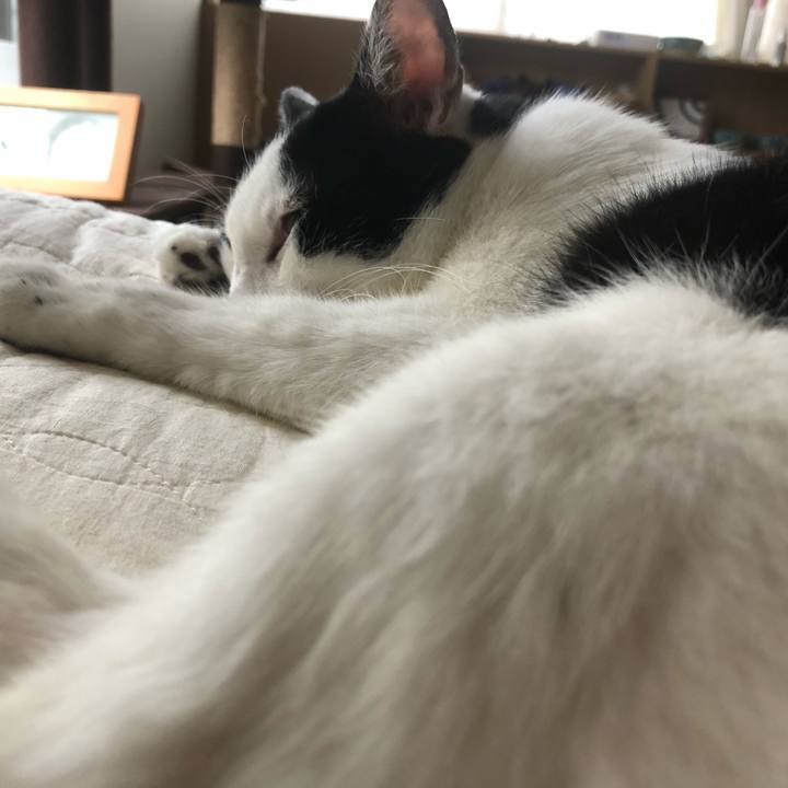 5b42484d 70e6 43d9 bede 01b464e67a33 1563058687283