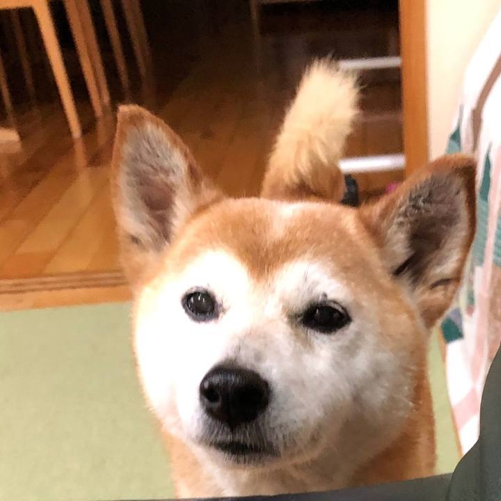 5b4249f7 228f 44d0 9652 5148d94b4fab 1667728889119