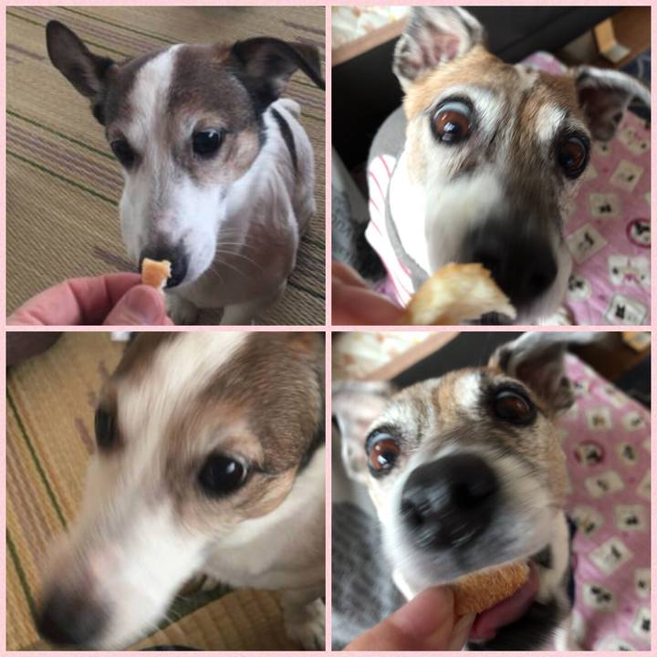 5b4261ab c7b0 4258 acc3 9c66be215b25 1522415086497