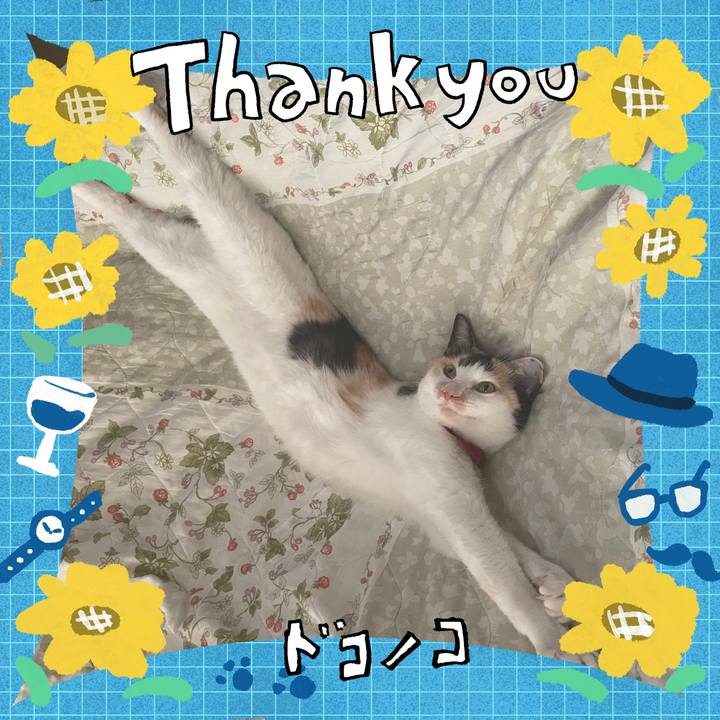 5b42a20f 2a6c 4be8 b5c4 9ef213457cd7 1717628410572