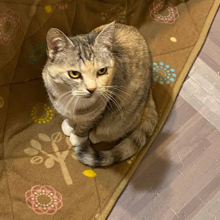 5b42aed8 e35c 4717 a7f5 92e691e143e3 1642653727686