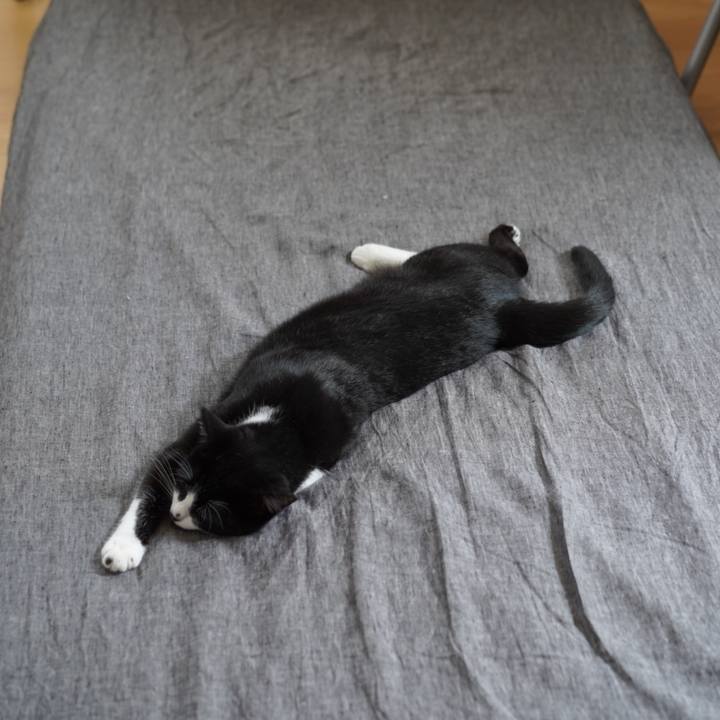 5b42ebc8 96e3 4e7a 9497 7b497c1faacd 1621933590768