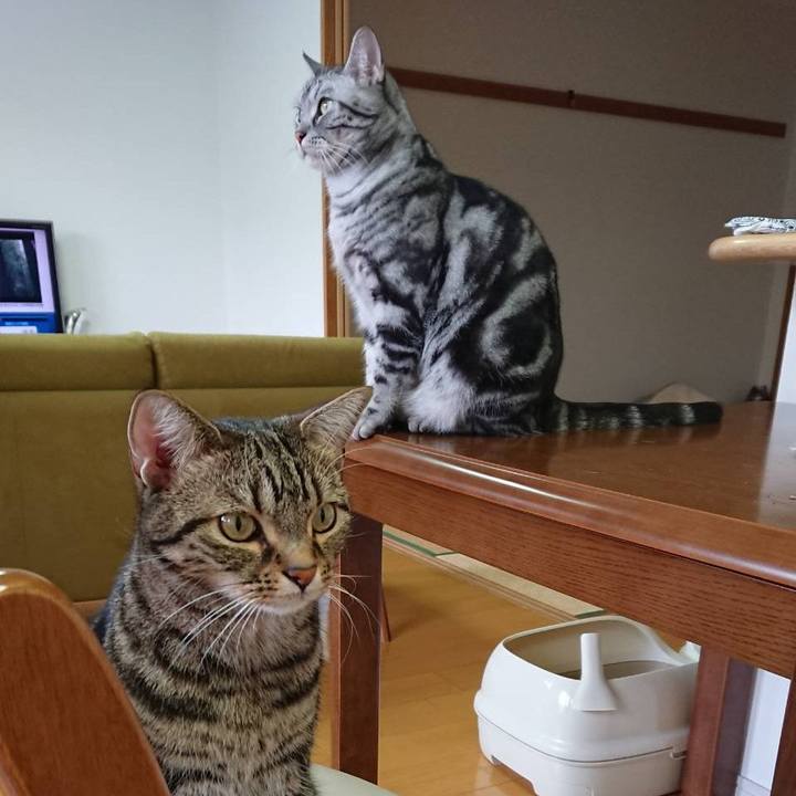 5b42f0dc f524 4d12 8d11 e4bdde5a56cb 1553988722050