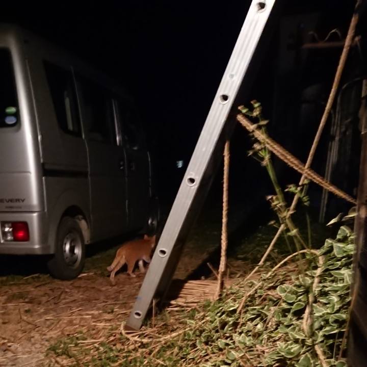 5b42ff88 147d 4993 a2b6 afb4fd8565c9 1592568029442