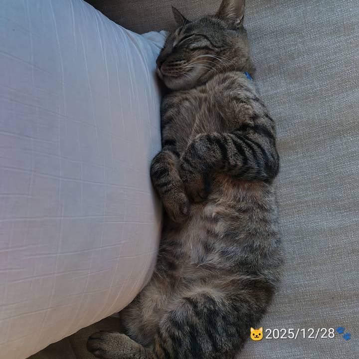 5b431550 eada 459e bc3e 4d1eea2e12c6 1767264310505