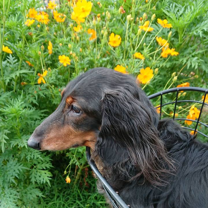 5b4345a4 21e8 465f 8627 1f56b366922e 1766454050224