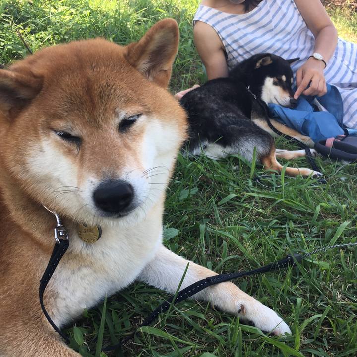 5b434bcd 7433 4708 9e82 b36a2961afc9 1565958654236