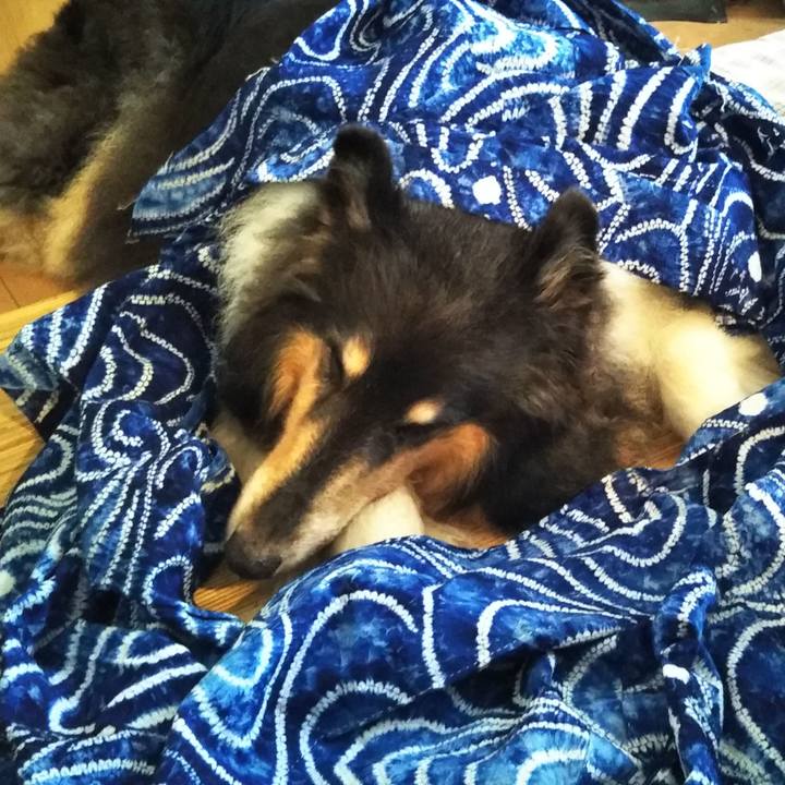 5b4350ab 1a52 42e5 a7b8 a0f2aec1f448 1597409343502