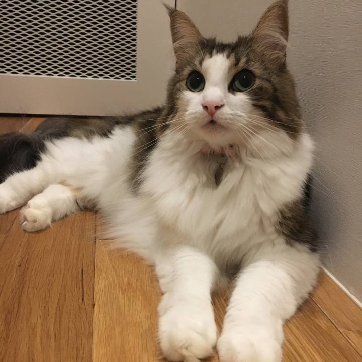 5b4389fd 64dc 42fe afb9 e6e8706c0304 1536935544874