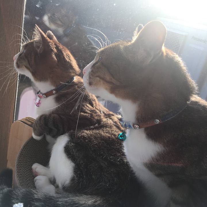 5b439dec bf6a 4192 b1b9 4ac2e36d1e0d 1691360683280