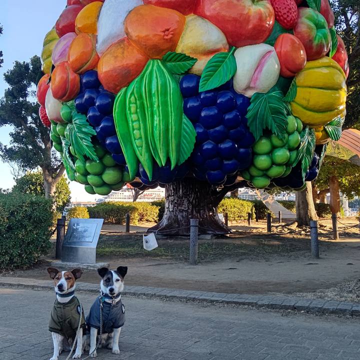 5b43ab08 5fe5 47f3 9194 baf49b867bb1 1704698276952