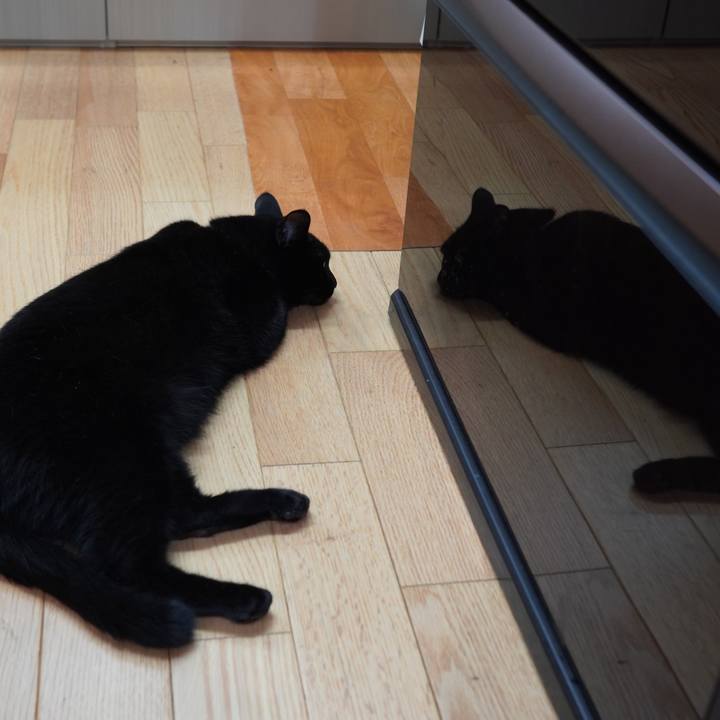 5b443432 6110 4073 8f6f ef3e92afa68f 1593439508865