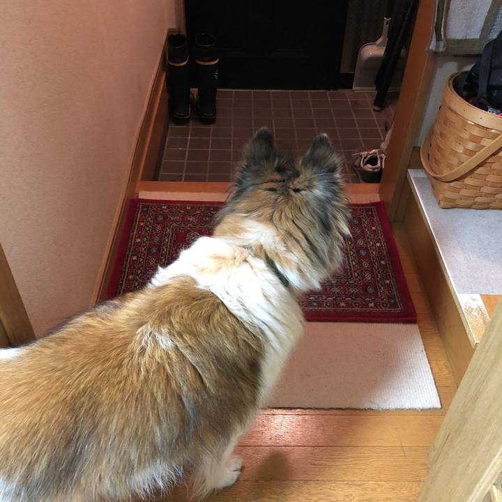 5b4447e7 9bea 45a3 9f39 d650176e3ae0 1515759961649