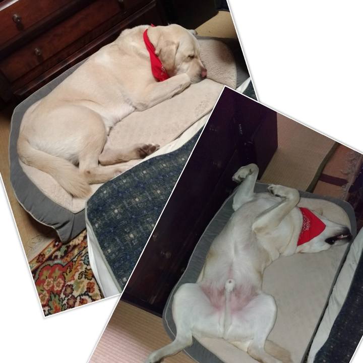 5b448460 f114 4feb 8628 c15697f4e9e2 1586145332872