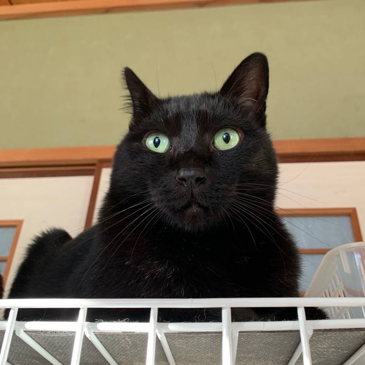 5b449318 2f49 4834 a7f7 c0762f20bc62 1545353640106