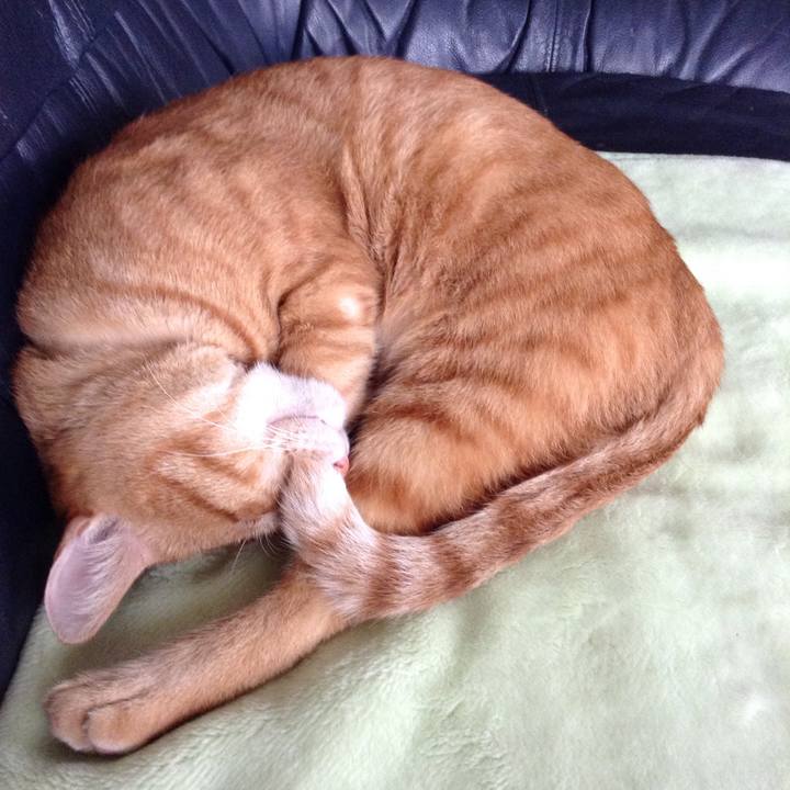 5b44cc40 f60b 42b2 bf39 e0c09e6047a8 1533368092208