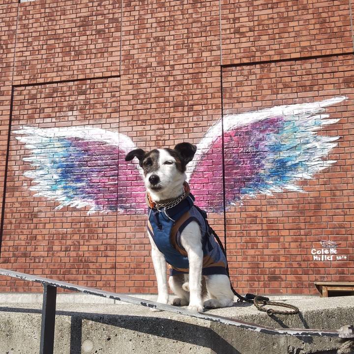 5b44f199 78f3 45fd a107 1f6ff3730694 1774101418602