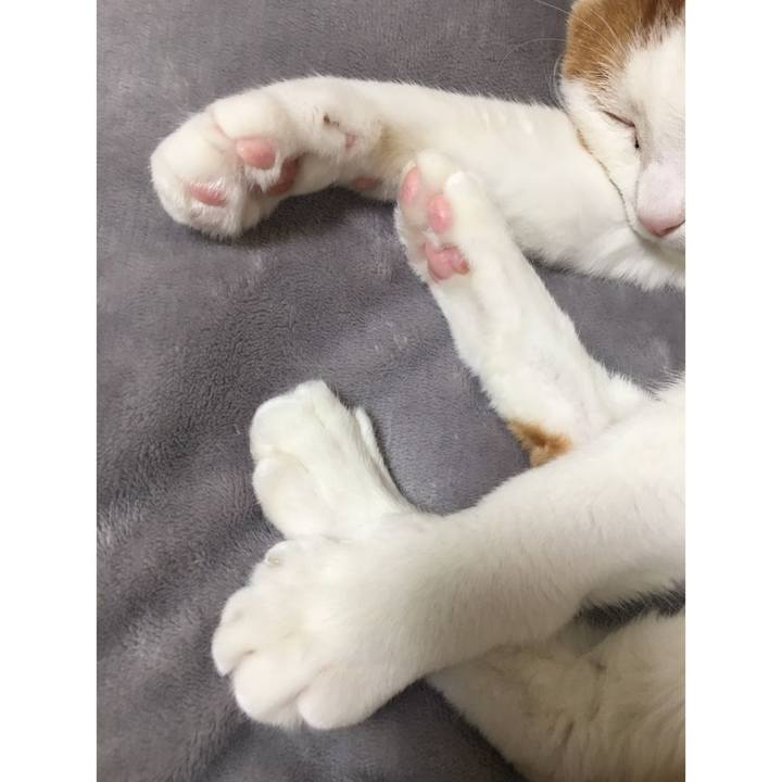 5b44ff92 0384 4616 a408 fe00d6f63e51 1586644778194