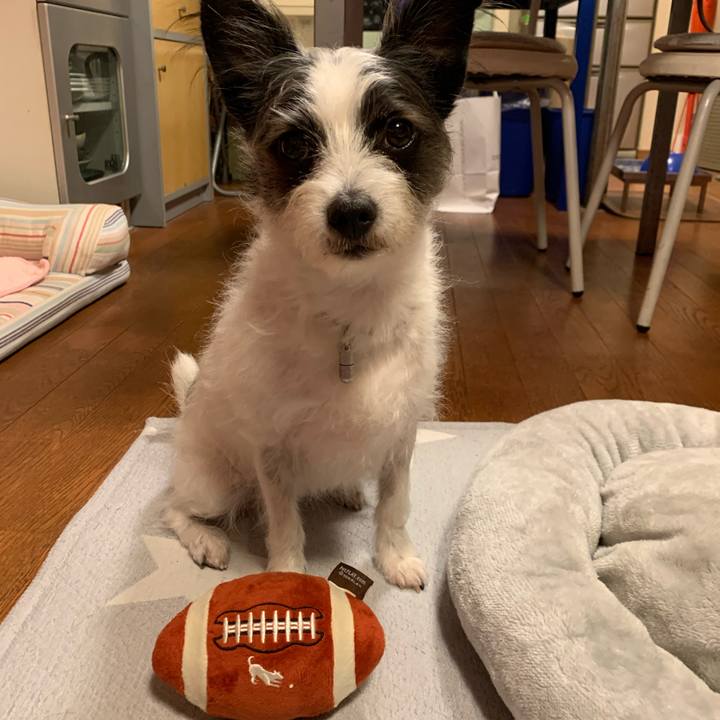 5b4502e0 cc3d 404e 839e 9524ba346344 1572684272448