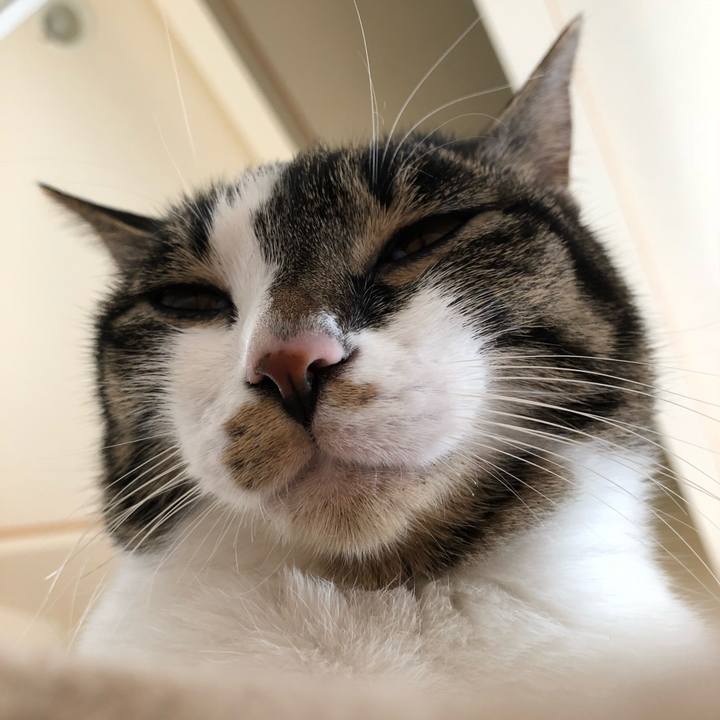 5b451c76 4f0c 407f abfa a16585014028 1520999889056