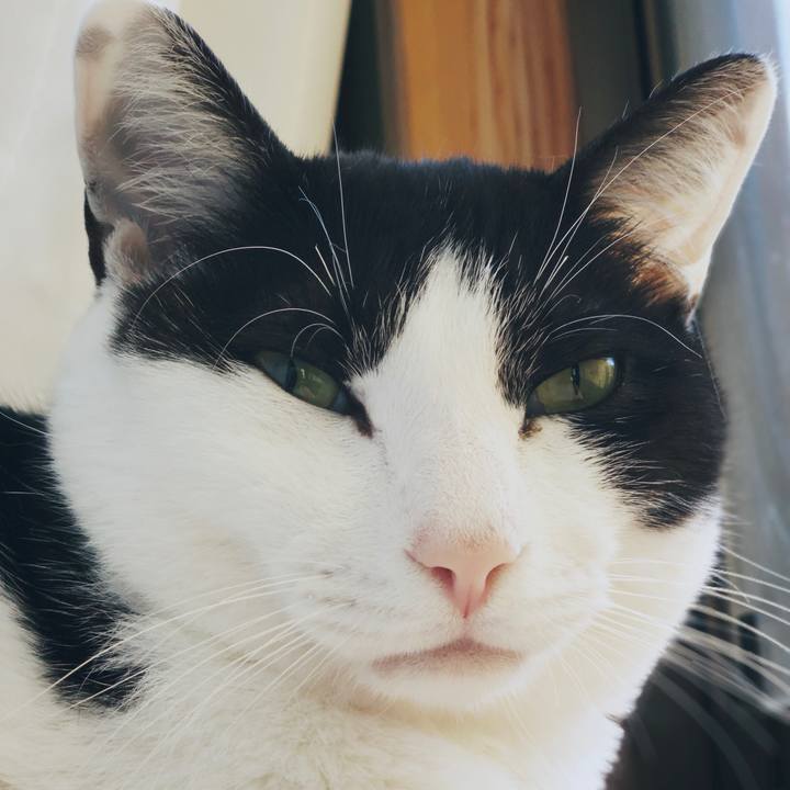 5b452d2b 6787 4b05 bab1 c6a656b919e7 1557191486973