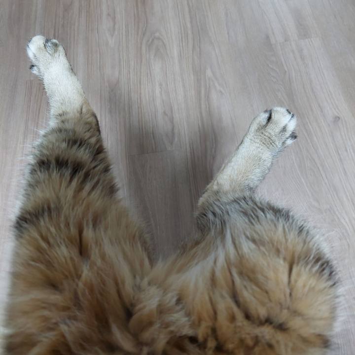 5b45358b 1d2f 4009 be33 af6959047faa 1729895418246