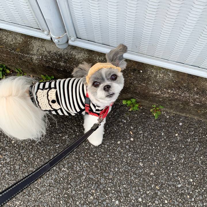 5b45400b ef81 475d b157 2ab2cfc15bf7 1629530145581