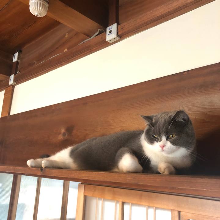 5b454c90 1da0 4bd4 be42 020b8660348f 1569632561884