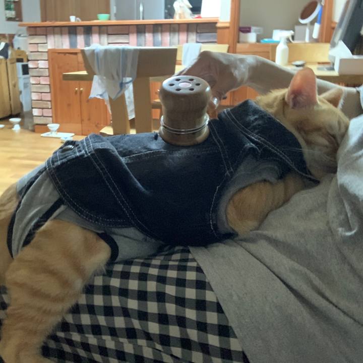 5b454ea2 f3da 4afa b6e5 793d73b59d86 1653574388788