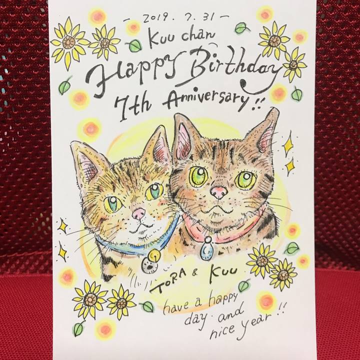 5b4576db 87ef 4e3d 8041 19171e1f019c 1564579228096