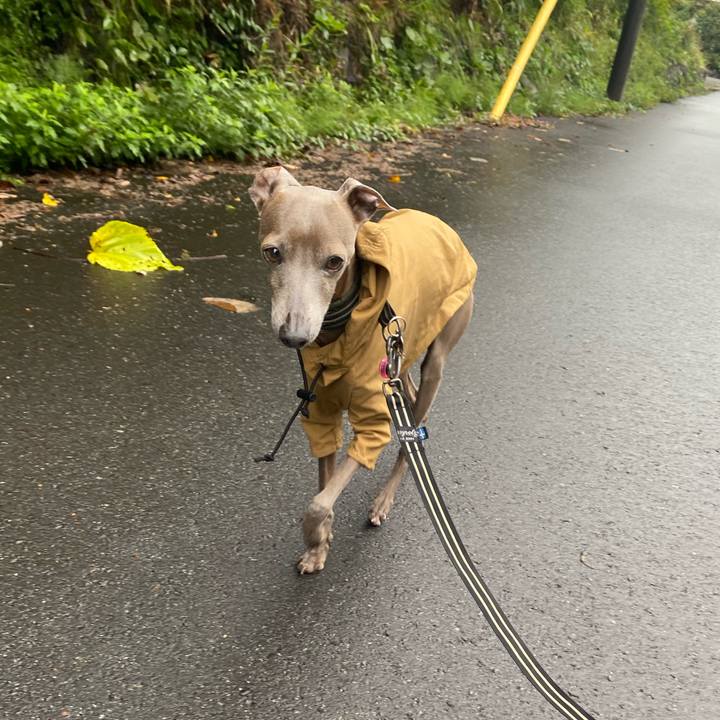 5b4585f5 7e12 46e9 a809 0ccdfa656637 1760582435773