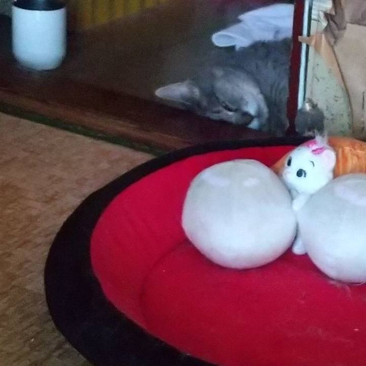 5b459aa1 3f82 4ed0 8b6b d9ef9c3b0f24 1656292932263