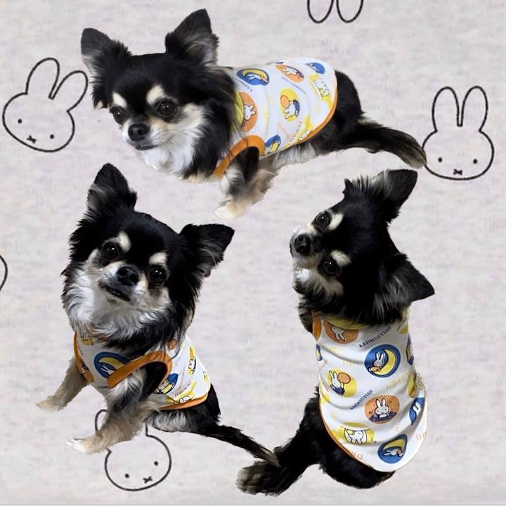 5b45a9e1 3451 4ac4 99e6 5842e878d1db 1668422059423