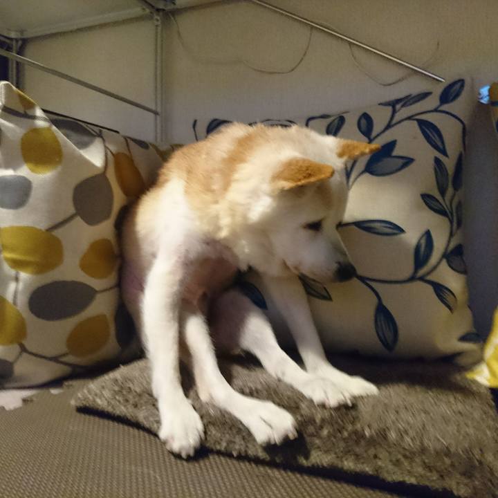 5b45eaa3 71d7 441d 879f 0236971b742f 1531357425221