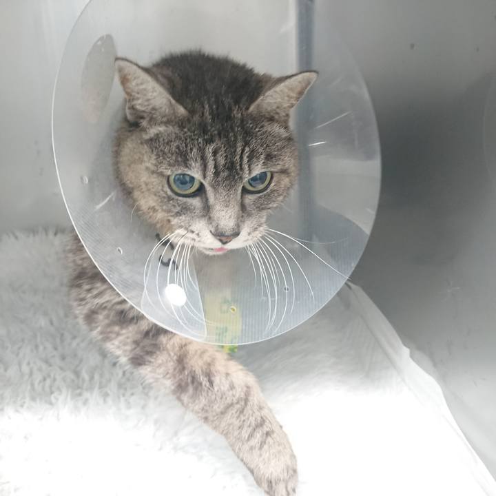 5b45eb7d 316f 4669 8886 9587a9904303 1585797121491