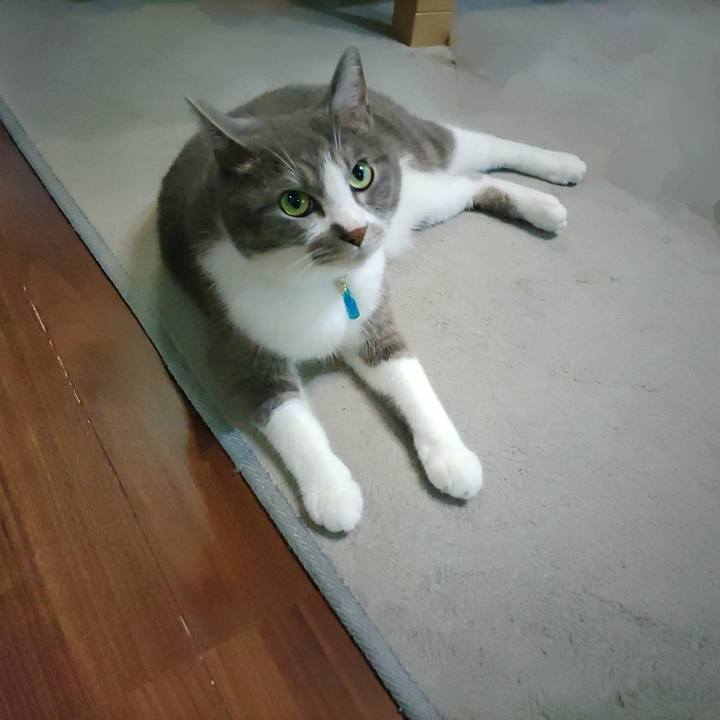 5b45f2a2 a304 41e8 a2de 770f138dd155 1724108857942