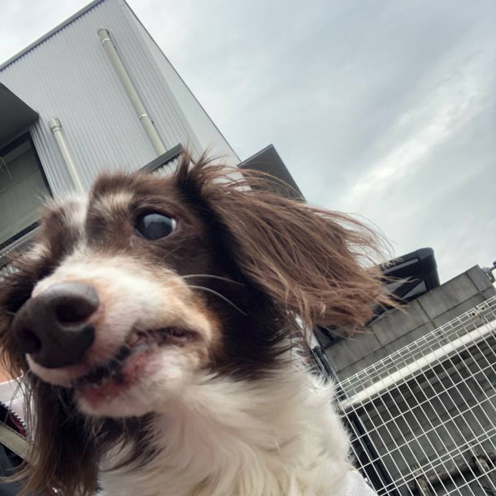 5b45ffe0 28d9 4e2a 8022 7149335920c0 1601793597601