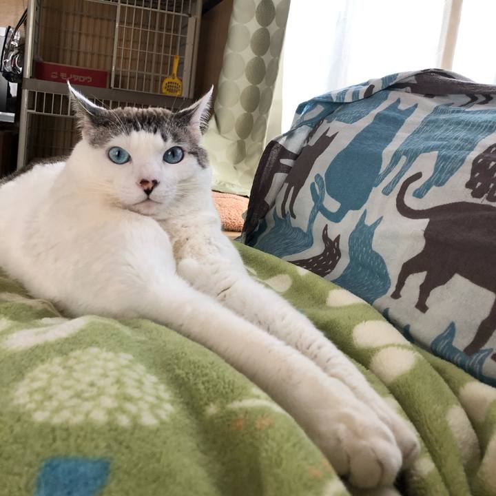 5b460046 80a4 465a 83b3 eba1624be2da 1616216362382