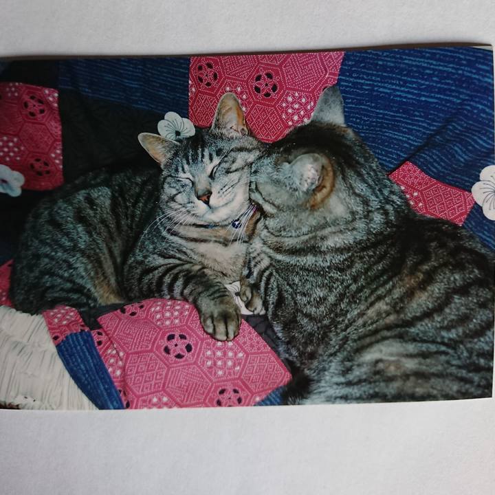 5b463f2c c825 46d5 998c 83773245facd 1601927202435