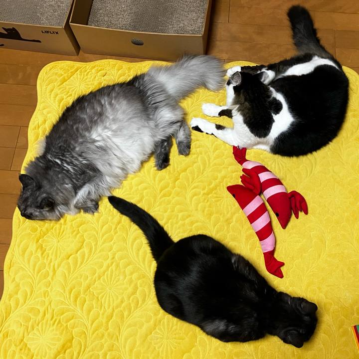 5b46519f 8307 4e87 ad12 c2cc23142bda 1733884617108