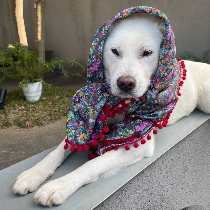 5b468725 473d 49d9 afc7 28e9683abfbc 1763878871762