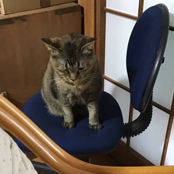 5b469fd3 e3e1 4d4b ac4b a3ae33678813 1724232138125