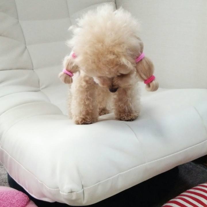 5b46a319 f4f1 4215 b4c4 bab5226e5484 1530096579641