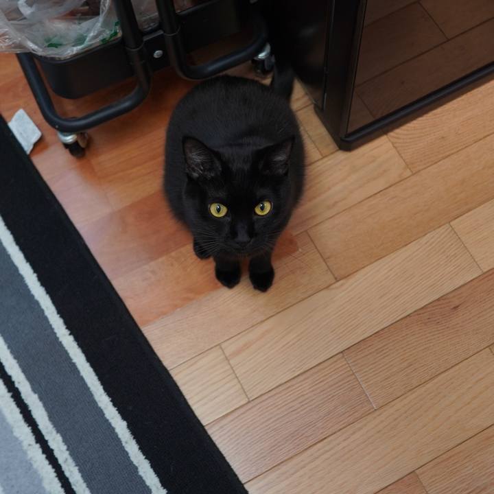 5b46ec56 84bb 4707 b9f0 2e1df27538de 1613905632917